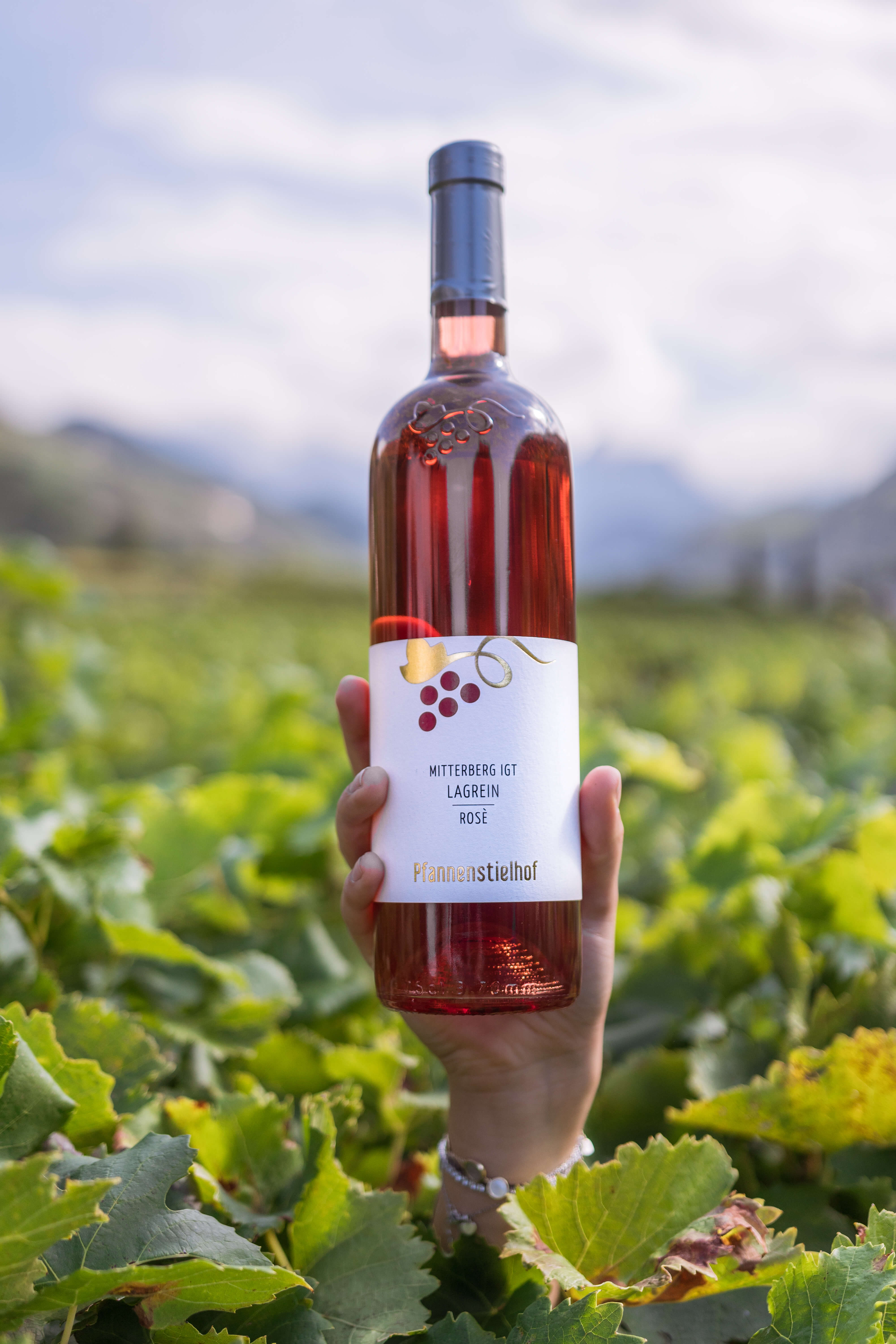 Bild · Lagrein Rosé